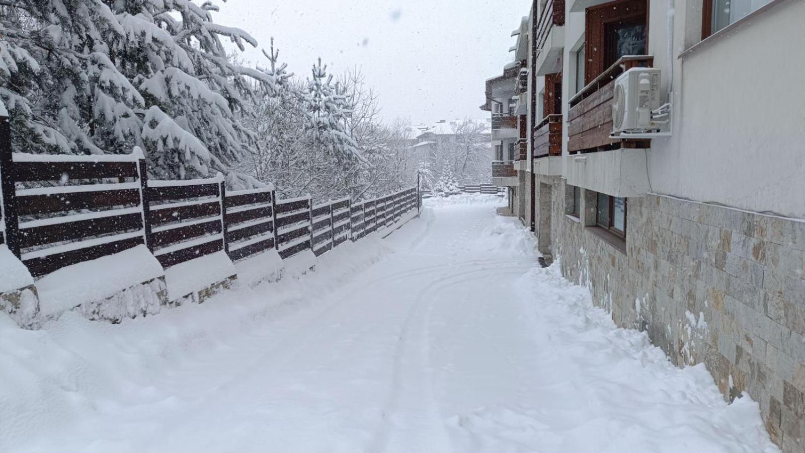 Apartment Detelina Residence Bansko Exteriér fotografie
